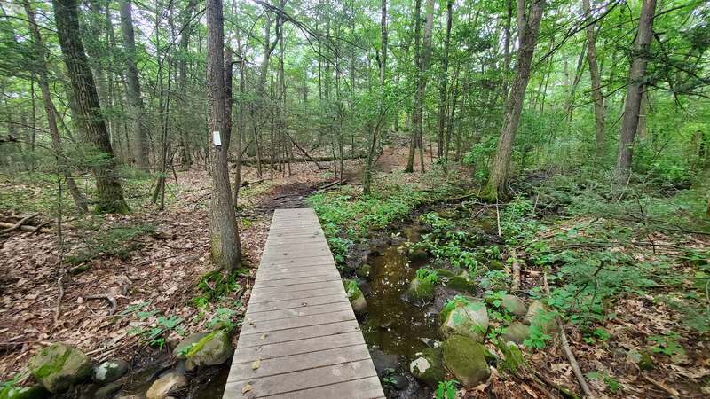 Bridge on the White Trail/Rock Circuit at Middlesex Fells