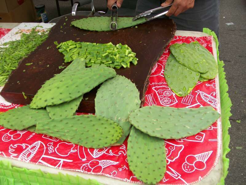Cactus Plants, Yummy!