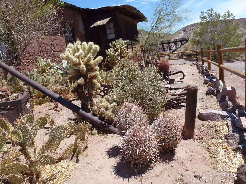 Garden in Calico Ghost Town — in the Mojave Desert, near Barstow in San Bernardino County, Southern California.