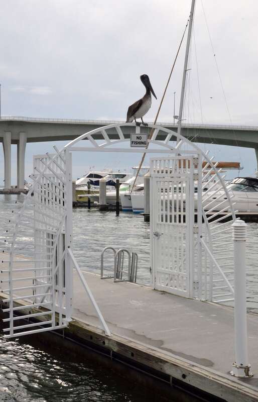 Clearwater,Florida,USA.