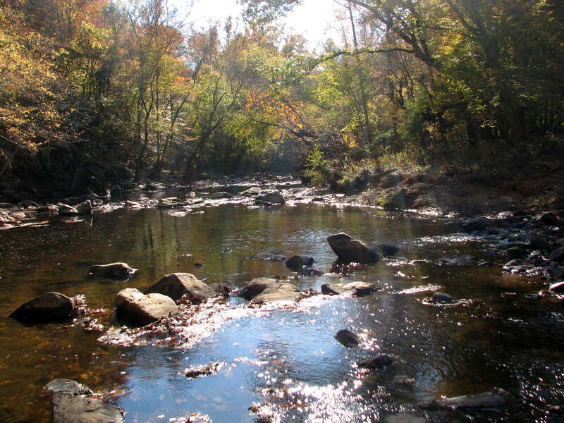 Cox Mt Trail Fews Ford Eno River State Park

Eno River State Park, North Carolina, US.