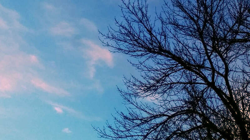 500px provided description: &quot;Virtualized&quot; version: 500px.com/photo/210705587/crepuscular-abstract-1-virtualized-by-aslam-karachiwala. [#trees ,#sky ,#blue ,#clouds ,#abstract ,#branches ,#minimalism ,#crepuscular]