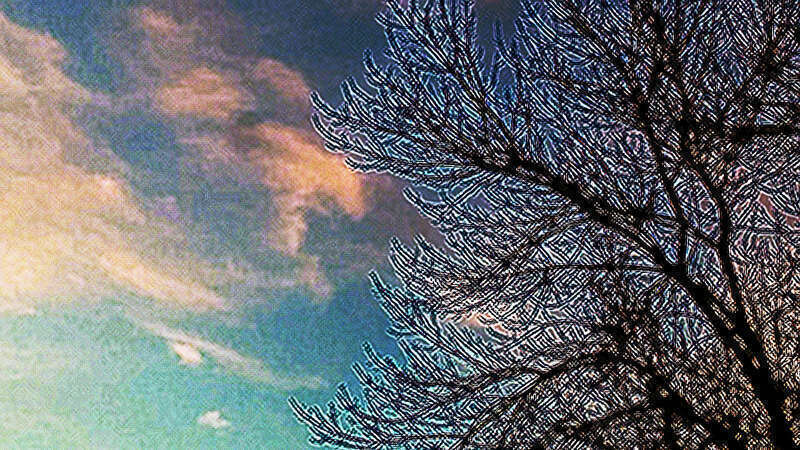 500px provided description: &quot;Virtualized&quot; version of Crepuscular Abstract 1: 500px.com/photo/210705449/crepuscular-abstract-1-by-aslam-karachiwala. [#trees ,#sky ,#clouds ,#abstract ,#branches ,#crepuscular]