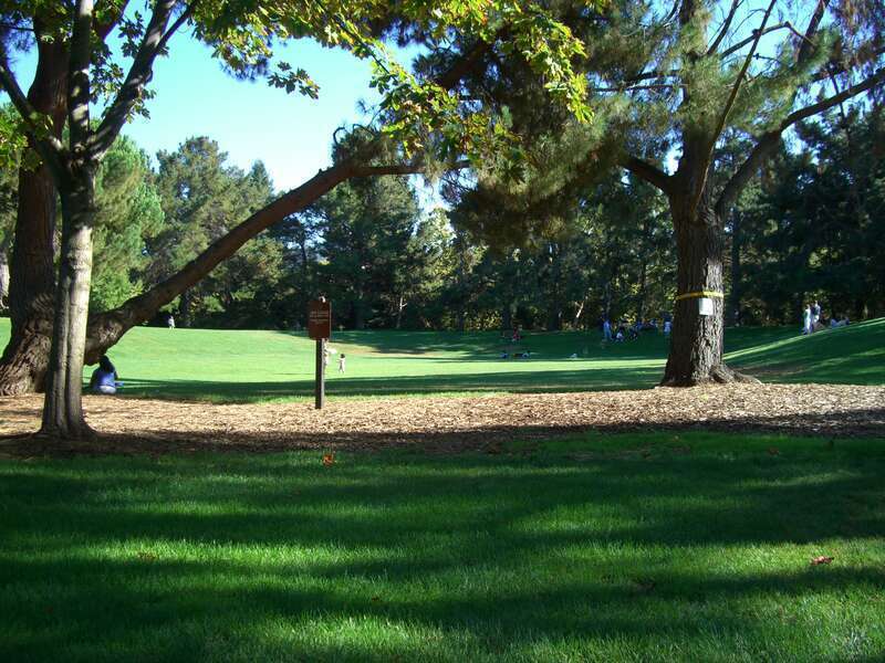 dog training area

Used, unofficially, as an off-leash play area for dogs.