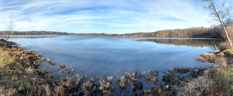 View of Eagle Creek's Bird Sanctuary from the South while standing on the trail. Taken with iPhone's panorama mode on December 20, 2020.
