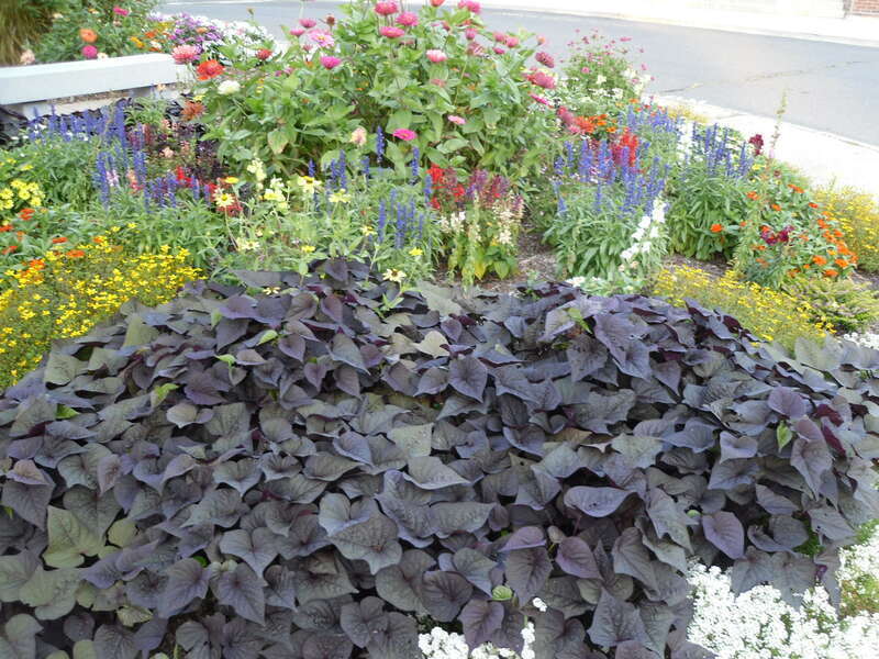 Farmington, Connecticut