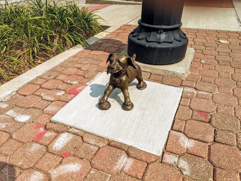 In 2023, a series of bronze sculptures were installed in various locations around Springfield, Illinois depicting Abraham Lincoln's dog, Fido. &quot;Fido With Flower&quot; was designed by Sam Brown and is installed on the west side of Bicentennial Plaza, just