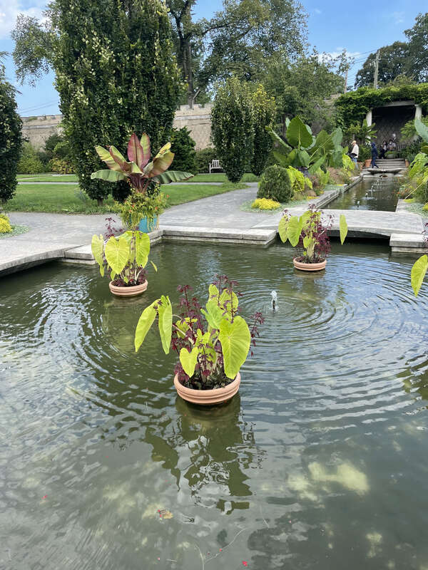 Floating Pots at Untermyer Gardens
