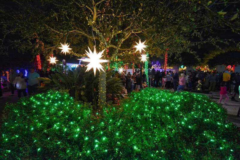 We might not have falling snow or freezing cold weather here in Florida to get us in the holiday mood, but we got lights ! Over a million LED lights shining throughout the Florida Botanical Gardens highlighting the tropical plants in nature themed