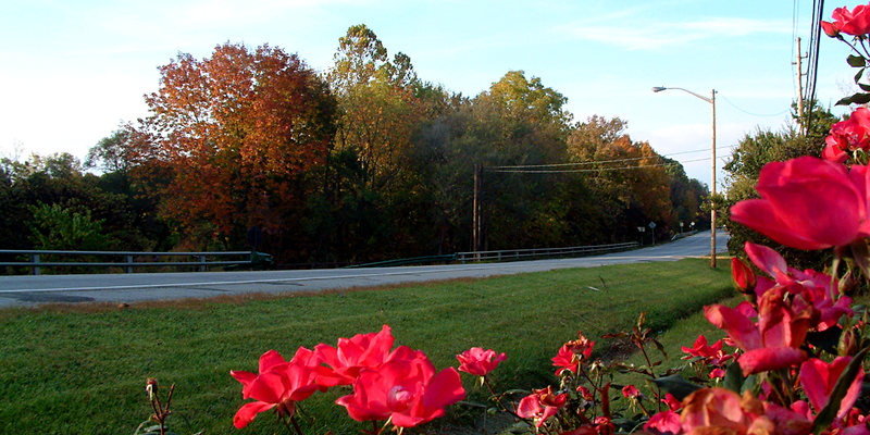 Looking northwest across Happy Hollow Road (Indiana State Road 443) toward Happy Hollow Park in West Lafayette, Indiana.