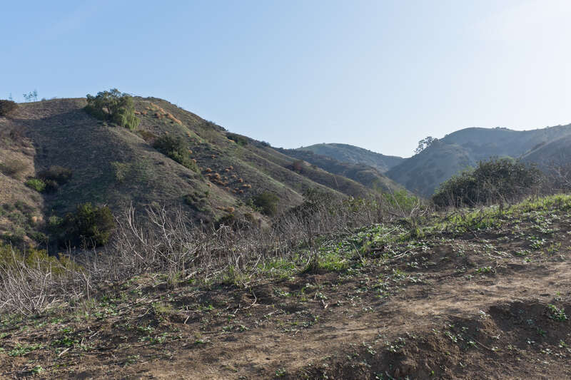 Hellman Wilderness Park — in the Puente Hills, Whittier, California.