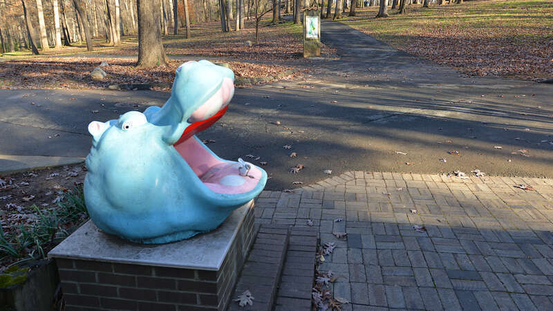 One of the water fountains at Cabin John Regional Park is in the shape of a hippo head. 7400 Tuckerman Lane, Bethesda, Maryland 20817.