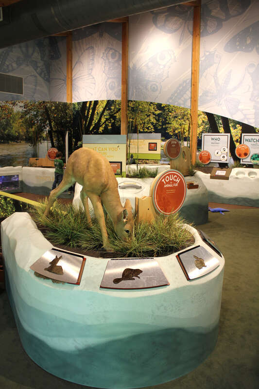 Holliday Park Nature Center. Exhibits designed and built by Taylor Studios, Inc. 
Indianapolis, IN
Overview of exhibit gallery with large photographic murals, crawl-through exhibit base, nature theming and water table.

www.taylorstudios.com