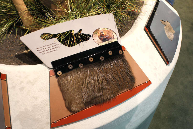 Holliday Park Nature Center. Exhibits designed and built by Taylor Studios, Inc. 
Indianapolis, IN
Overview of exhibit gallery with large photographic murals, crawl-through exhibit base, nature theming and water table.

www.taylorstudios.com