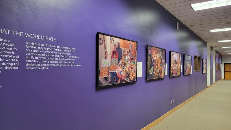 Hungry Planets exhibit in the Thelma &amp;amp; J.B. Marks Gallery
link) at the Polk Museum of Art in Lakeland, Florida.