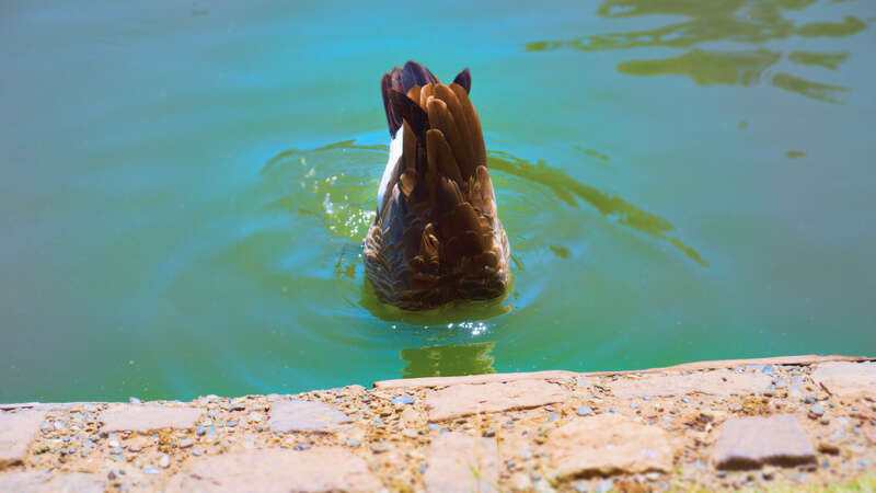 500px provided description: I Know It S Here Somewhere Ps []