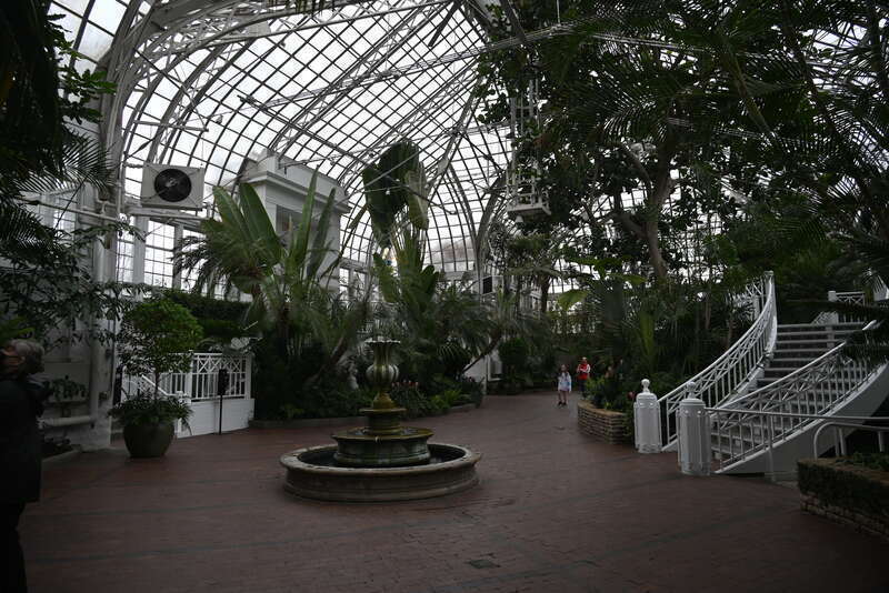 A view inside the John F. Wolfe Palm House, a part of the Franklin Park Conservatory in Columbus, Ohio.  While we were there, workers were setting up for a wedding and another couple was viewing the space for their nuptials. Taken March 31, 2022