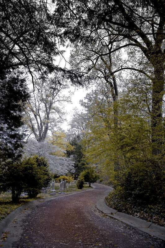 Ivy Hill Cemetery, Alexandria, Virginia