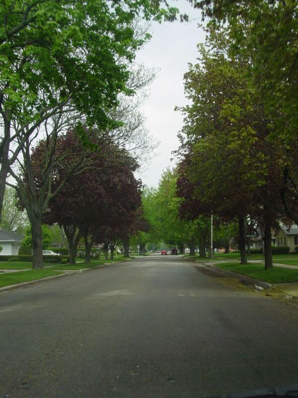 A shot while driving down Lexington Drive in Janesville, Wisconsin during the summer of 2004.
