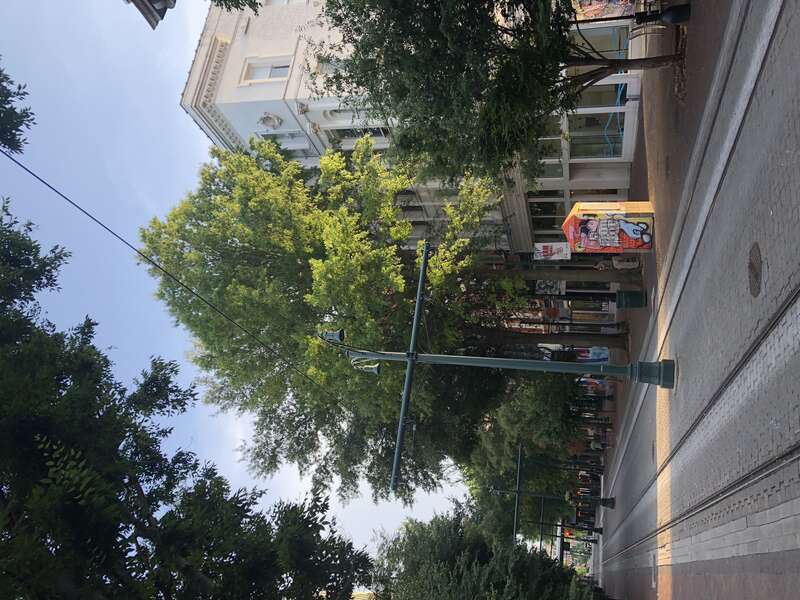 Main STreet With the tram lines in downtown Memphis, Tennessee