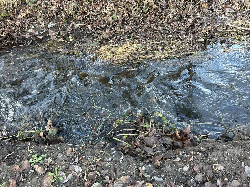 Mill Creek at the Mill Creek Canyon Earthworks, a public park in Kent, Washington.