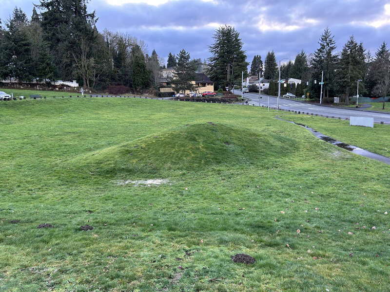 Mound at the Mill Creek Canyon Earthworks, a public park in Kent, Washington.