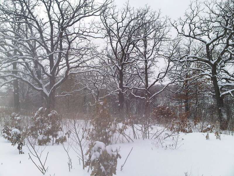 Minnesota Snow - Knee Deep - More New Snow Coming - March 5th, 2013