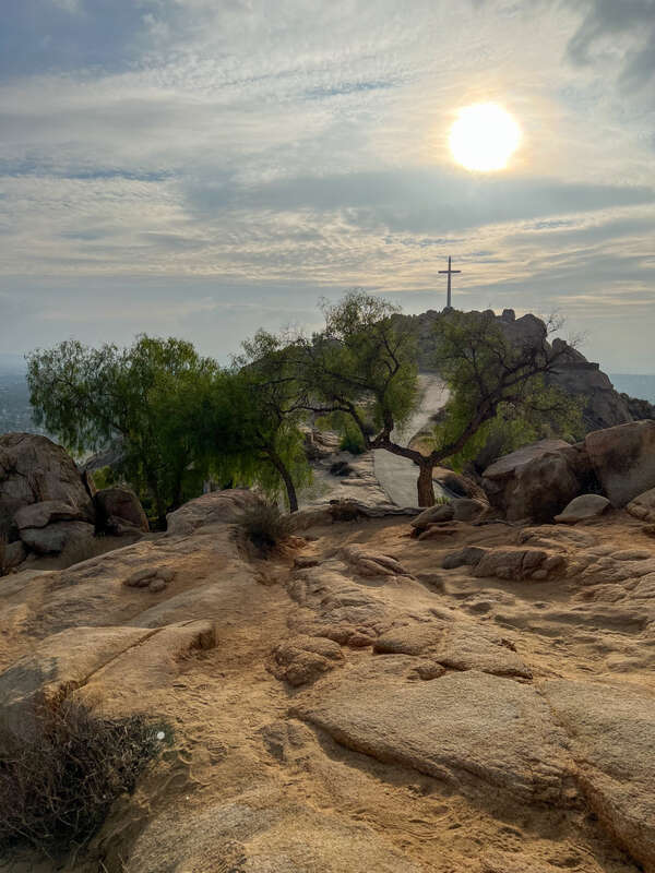 Mount Rubidoux Cross and Pepper Trees