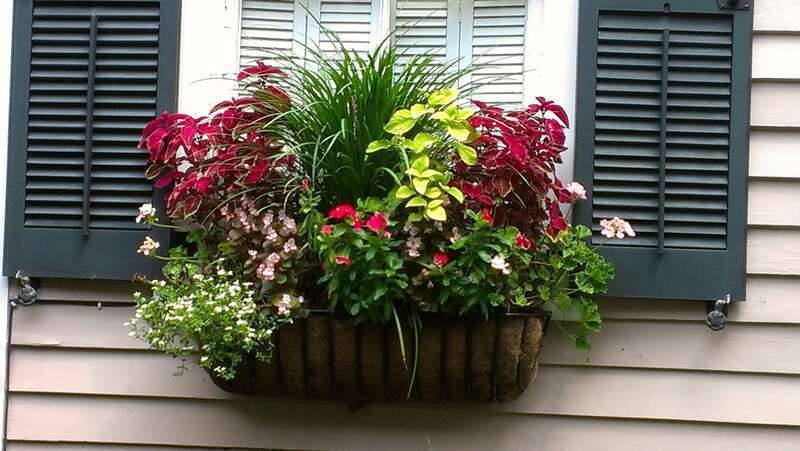 Mt Pleasant, SC, USA