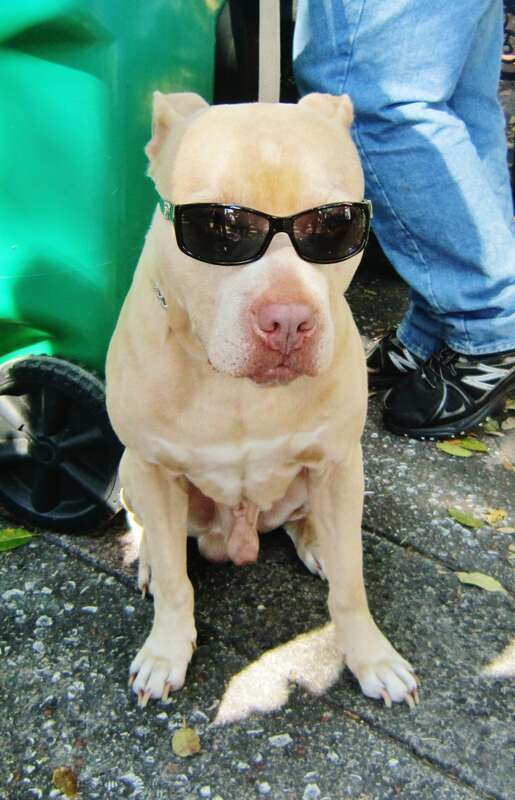 No! Dont get it wrong I am not one of the Blues Brothers...! / Passer incognito!