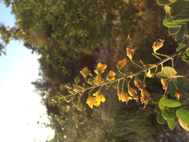 California, USA - April 2016

Los Angeles