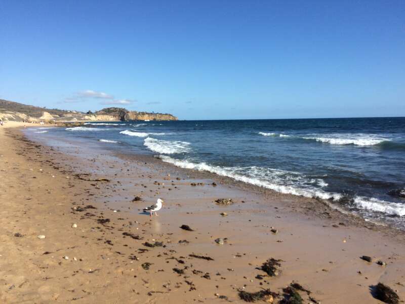 Los Angeles: Orange County in May-July 2016