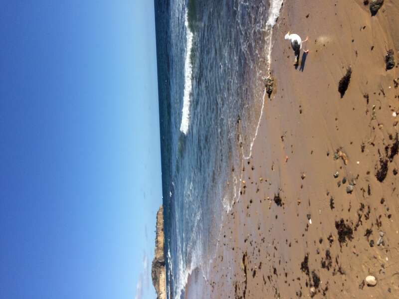 Los Angeles: Orange County in May-July 2016