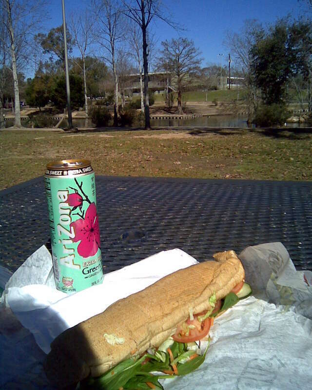 Outdoor sandwich, Lafayette Louisiana, January 2009