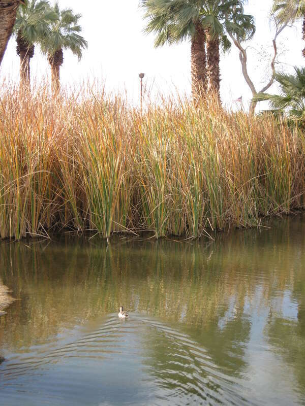 Papago Park - Phoenix, Arizona
