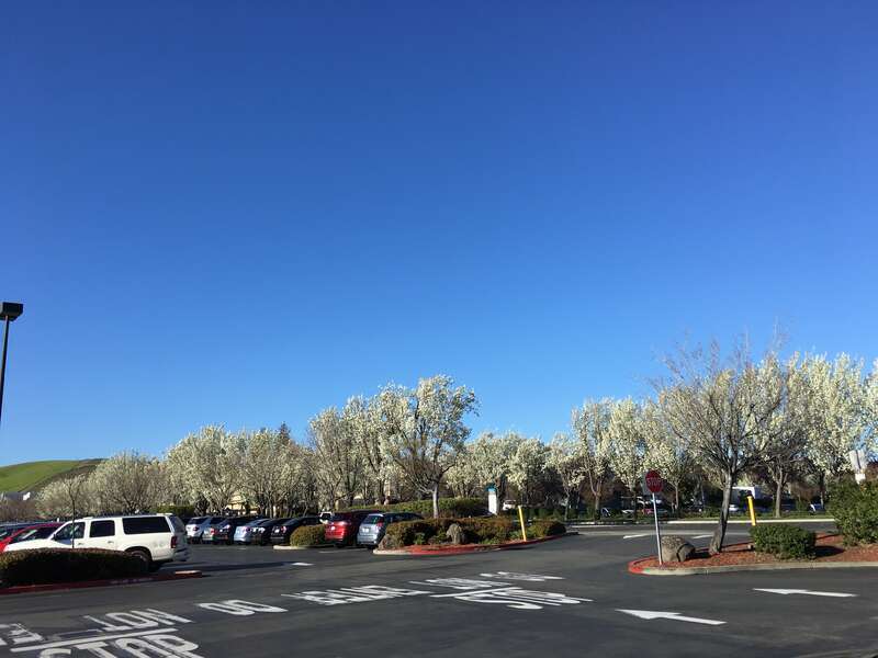 Parking Lot, Livermore, CA