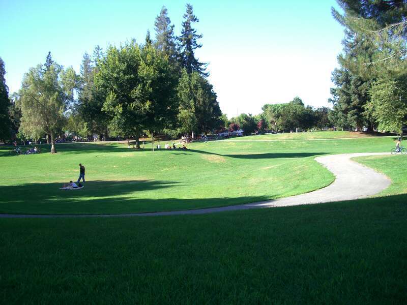 path through grassy field