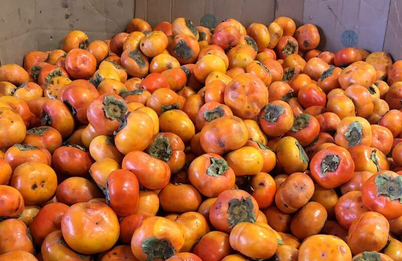 Fuyu persimmons in a box in an Asian grocery, Oklahoma City, Oklahoma, USA