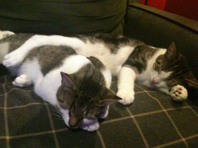 --
Sent via Pixelpipe

&amp;lt;a href=&quot;http://pixelpipe.com&quot; rel=&quot;nofollow&quot;&amp;gt;pixelpipe.com&amp;lt;/a&amp;gt;