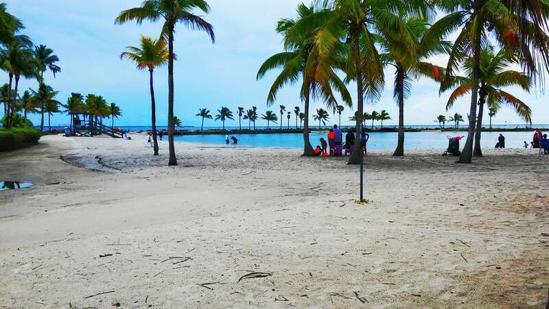 Playa de la Palangana ( Matheson Hammocks )