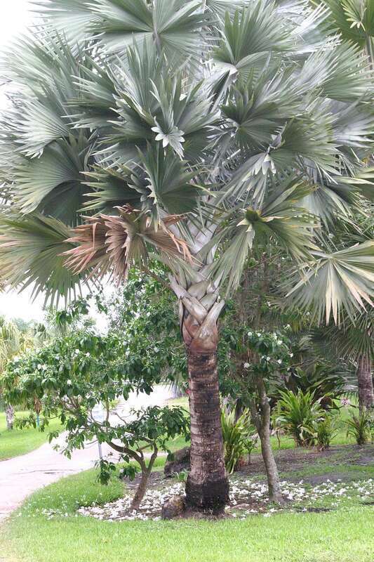 Princess Caribbean Cruise - Day 8