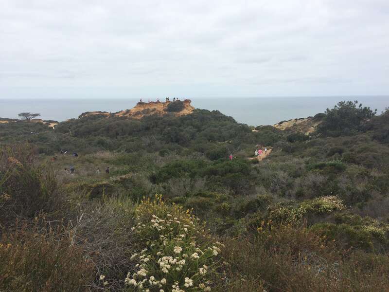 California, USA - May 2016

San Diego