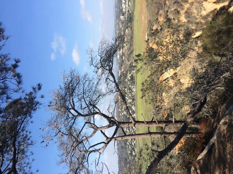 California, USA - September 2016

San Diego in September 2016