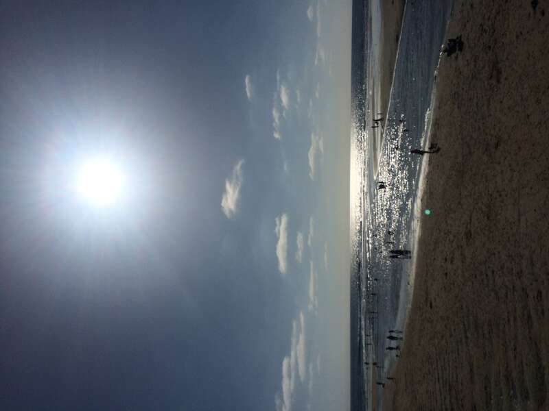 California, USA - September 2016

San Diego in September 2016