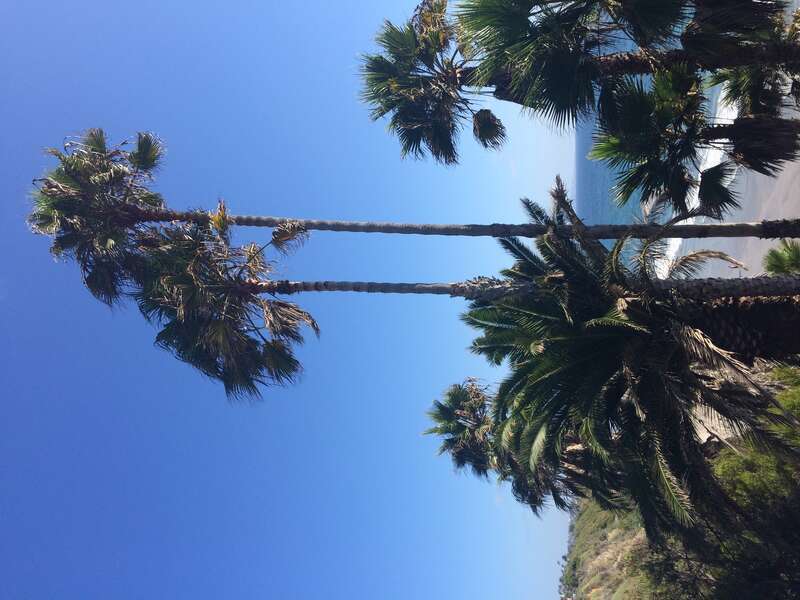 California, USA - September 2016

San Diego in September 2016