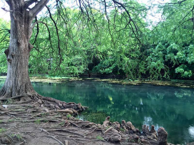 Photo by Jonathan Cutrer (jcutrer.com)
San Marcos River at Rio Vista Park