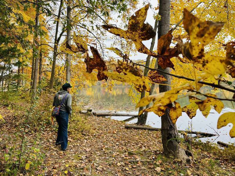 Fall foliage in Seneca Creek State Park