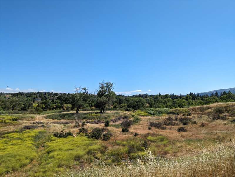 Shadow Cliffs Regional Recreation Area in Alameda County, California, United States.