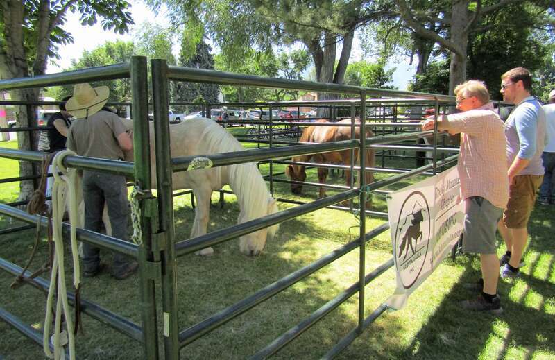 Horses at the Fire &amp;amp; Ice Festival in Spanish Fork, Utah.