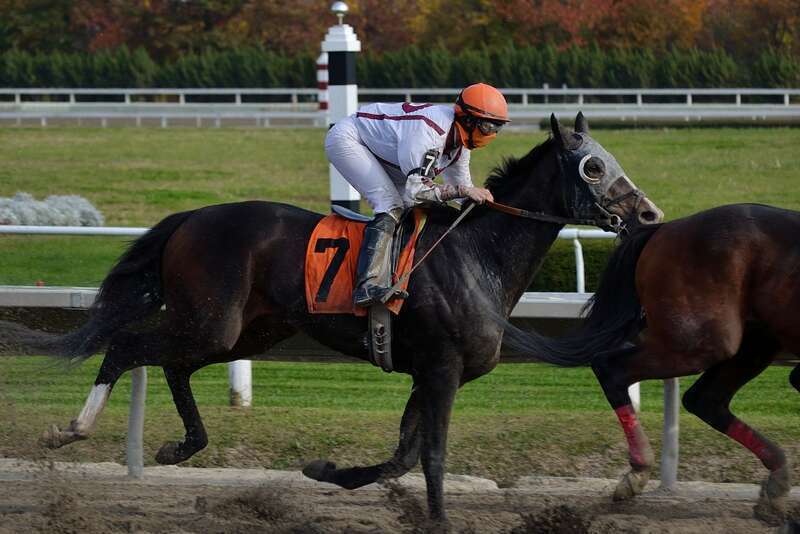 5th race

 Suffolk Downs October 27, 2012